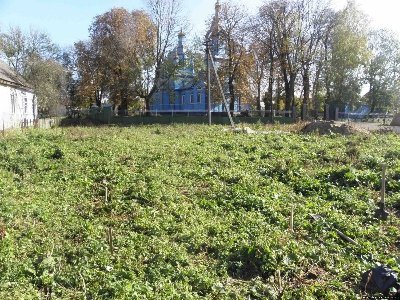 Історичну Олику розкопували археологи. ФОТО